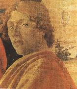 Sandro Botticelli Young man in a Yellow mantle (mk36) oil painting artist